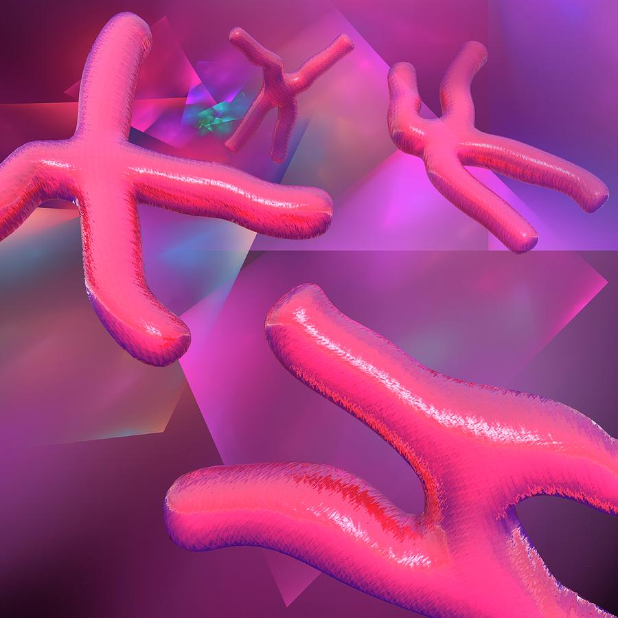 Chromosomes, Artwork #2 Digital Art by Laguna Design