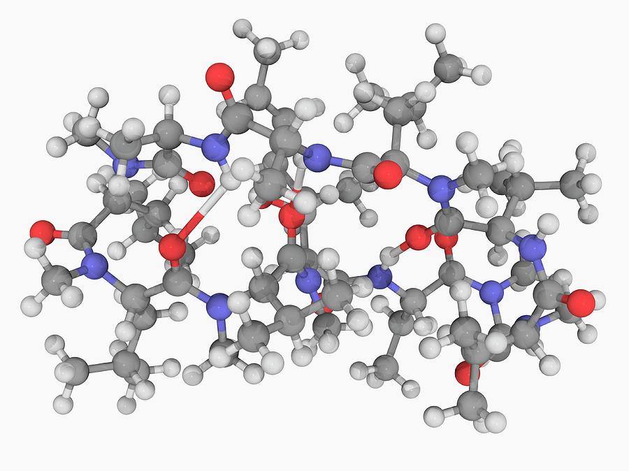 Illustration Photograph - Ciclosporin Drug Molecule #2 by Laguna Design/science Photo Library