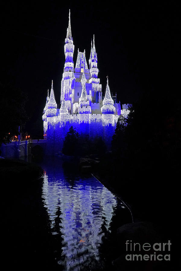 Cinderella Castle #2 Photograph by AK Photography