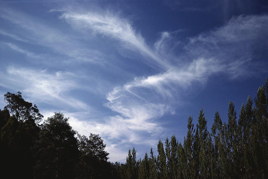 Cirrus Clouds #2 Photograph by A.b. Joyce