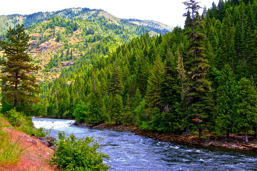 Clearwater River From Scenic Byway 12 In Idaho Photograph by Ruth Hager