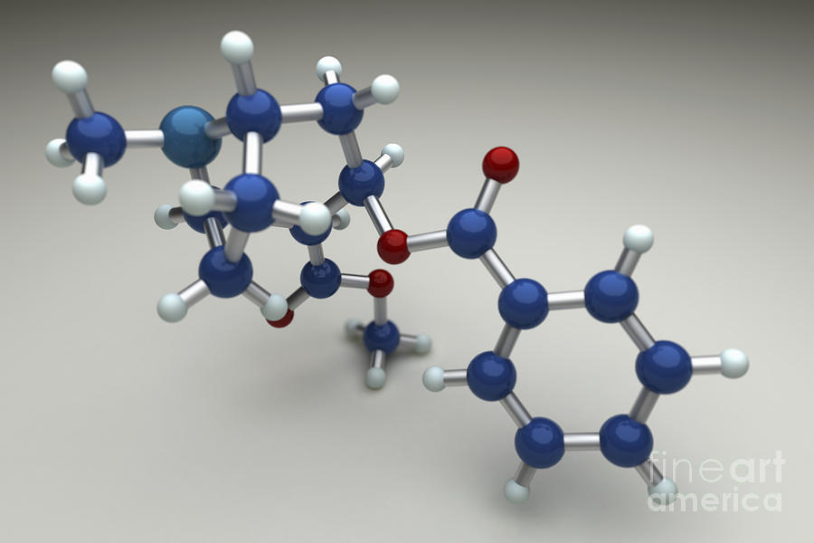 Cocaine Molecule #2 Photograph by Science Picture Co