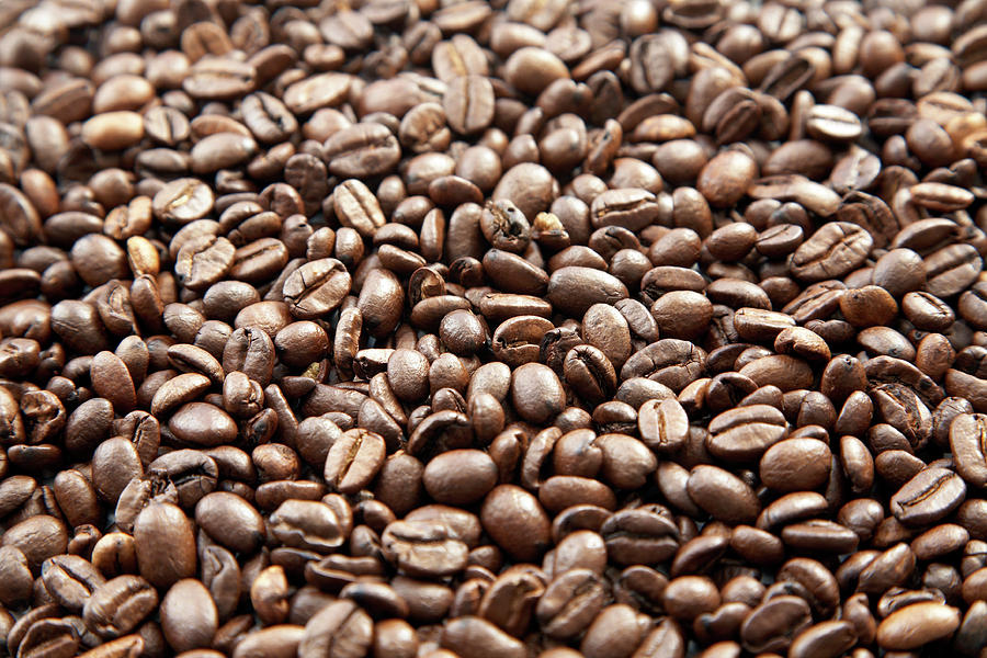 Coffee Beans #2 Photograph by Claudia Dulak / Science Photo Library