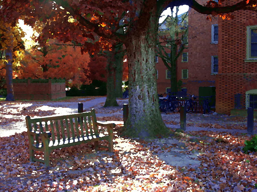 College of William and Mary Photograph by Jacqueline M Lewis