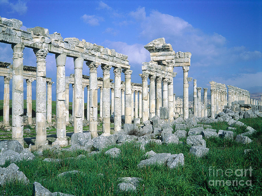 Colonnade At Apamea, Syria #2 Photograph by Adam Sylvester