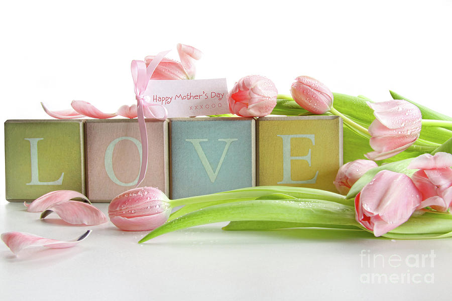 Colored blocks with tulips and gift card #2 Photograph by Sandra Cunningham