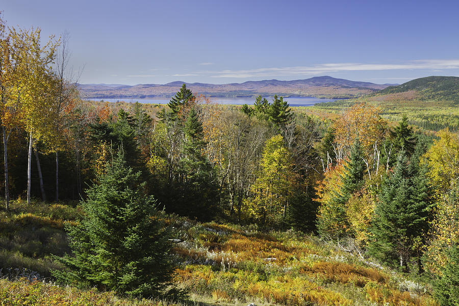 Colorful Fall Forest Near Rangeley Maine #2 Photograph by Keith Webber Jr