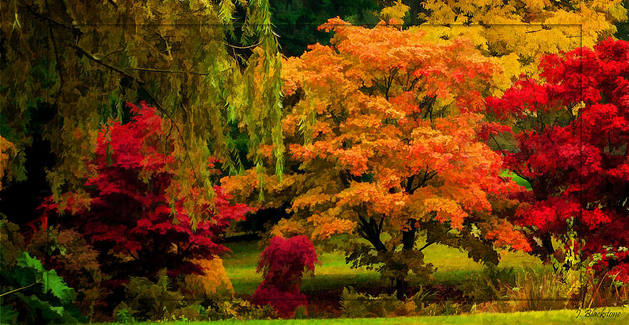 Colors Of Autumn - Seasons Art Photograph by Jordan Blackstone