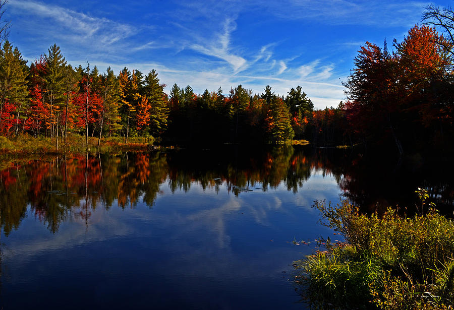 Colors of Nature - Fall Reflections #2 Photograph by George Bostian