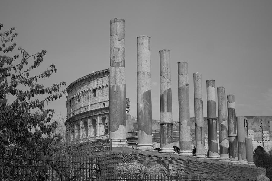 Colosseum Columns #2 Photograph by Ivete Basso Photography