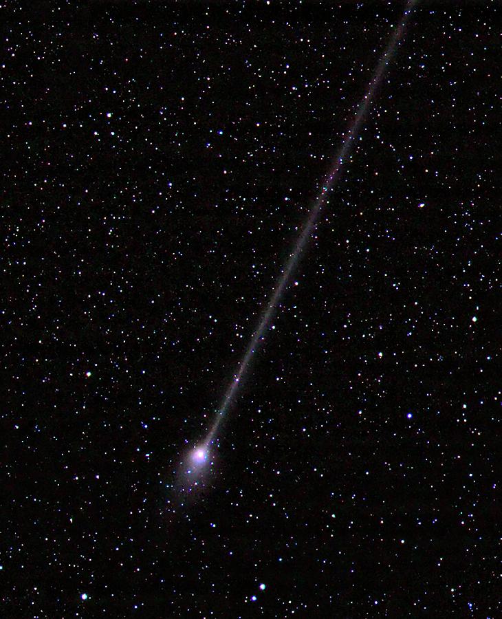 Comet C2011 L4 #2 Photograph by Damian Peach