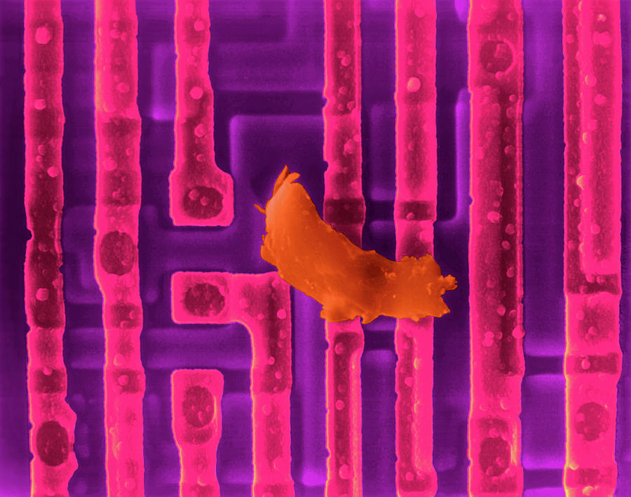 Computer Chip With Dirt #2 Photograph by Science Photo Library Computer Chip With Dirt #2 Photograph by Science Photo Library