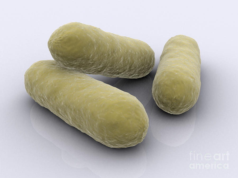 Conceptual Image Of Bacteria Digital Art