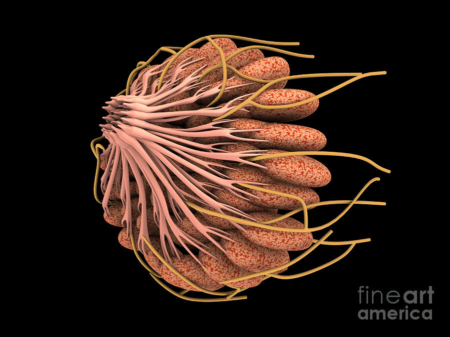 Conceptual Image Of Female Breast #2 Digital Art by Stocktrek Images
