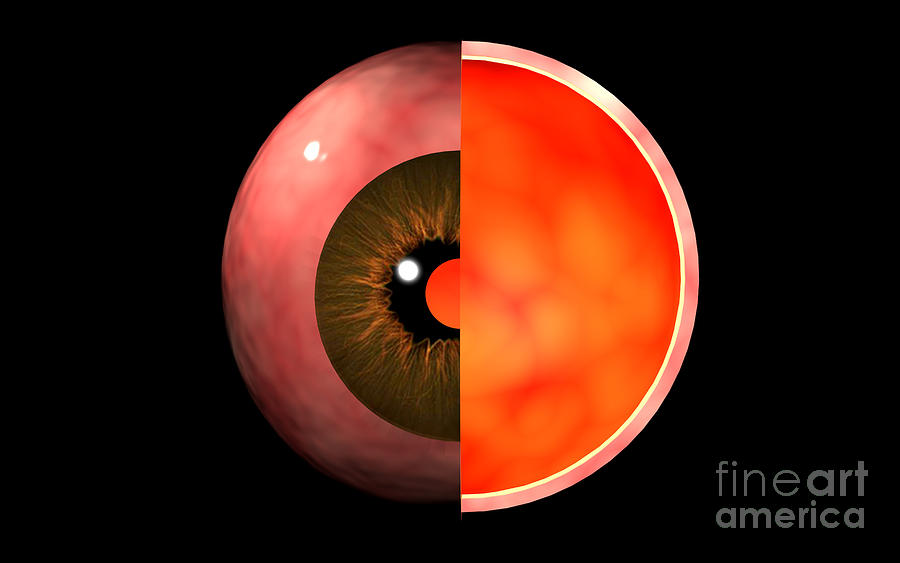 Conceptual Image Of Human Eye Cross Digital Art