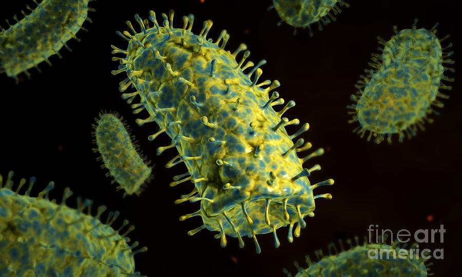 Conceptual Image Of Rabies Virus #2 Digital Art by Stocktrek Images