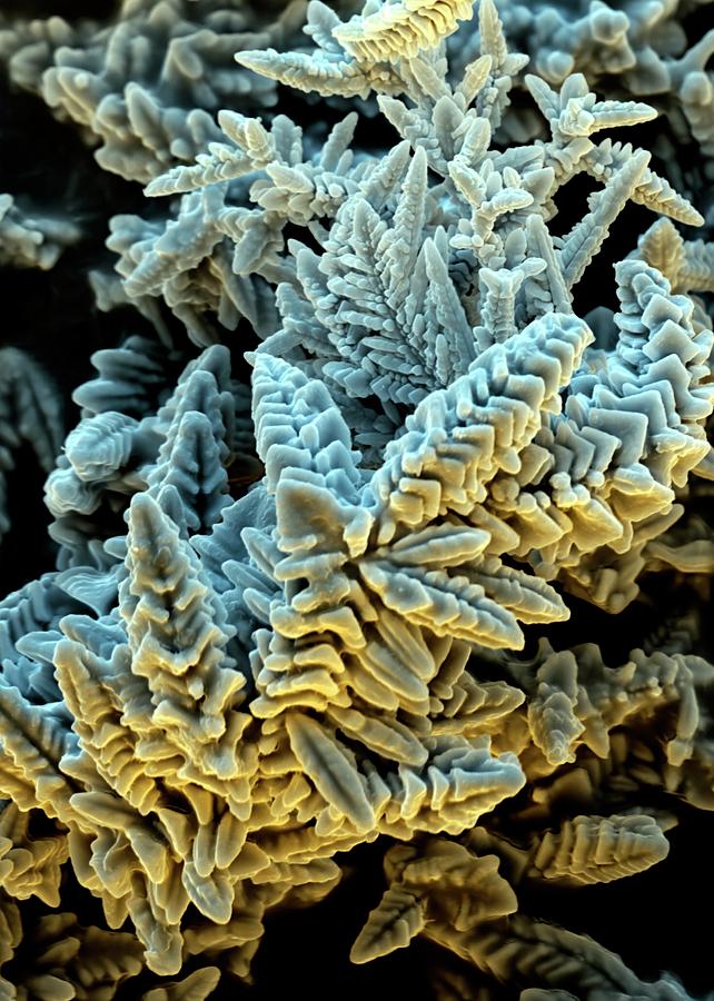 Copper Oxide Crystals Photograph By Stefan Diller Science Photo Library