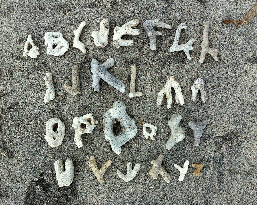 Coral Alphabet #2 Photograph by Lauren Rathvon