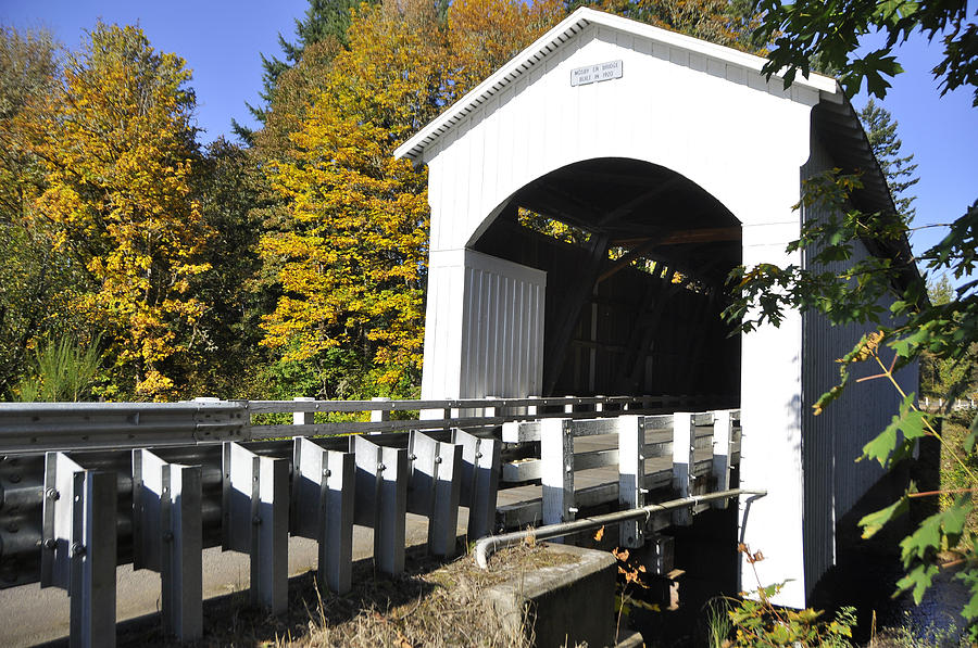 Cottage Grove Or  Covered Bridge Tour #2 Photograph by Wendy Elliott