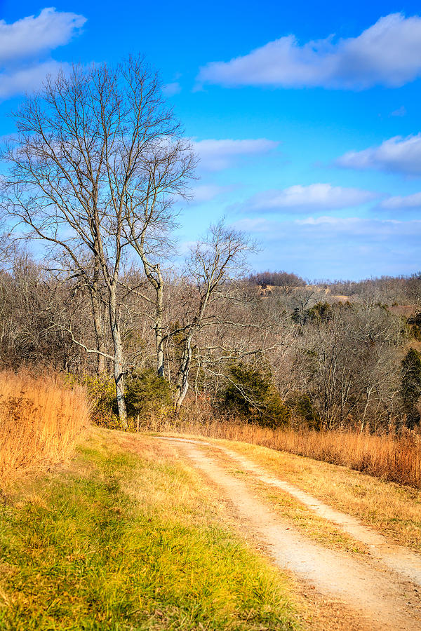 Country Road In Kentucky Photograph