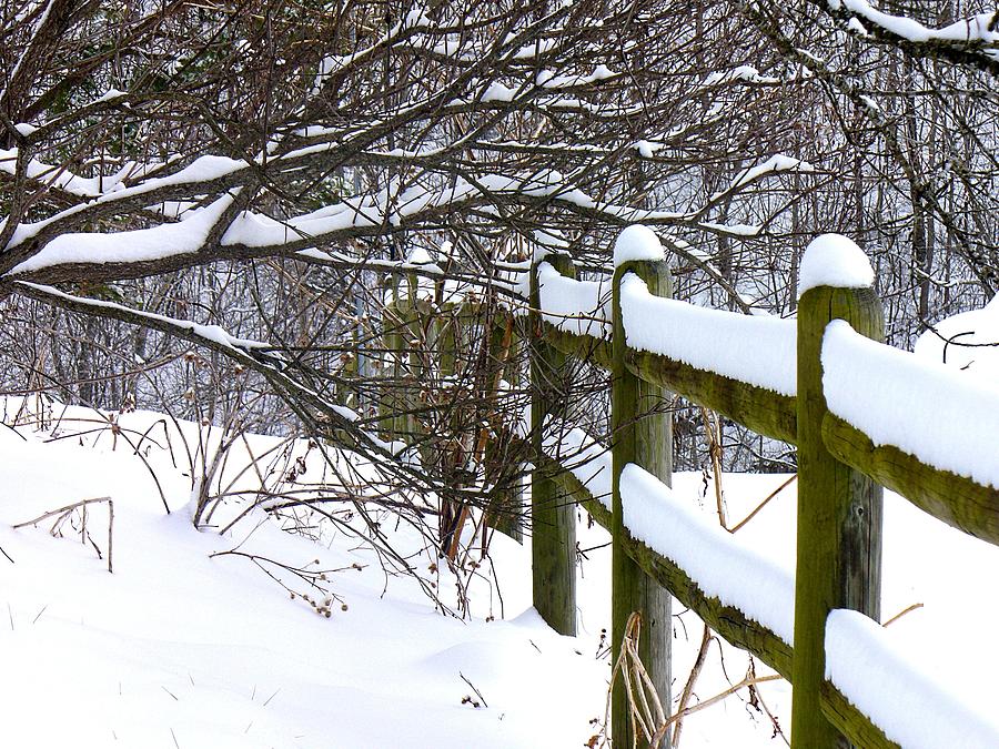 Winter Photograph - Country Winter by Deena Stoddard