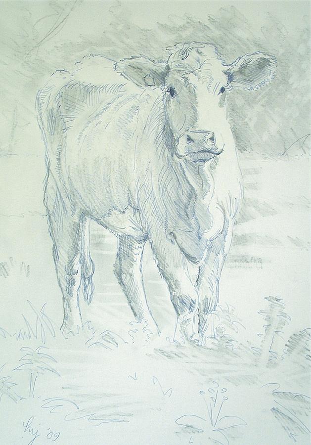 Cow #2 Drawing by Mike Jory