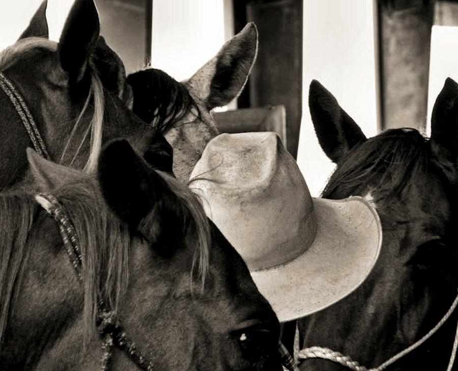 Horse Photograph - Cowboy #2 by James Stough