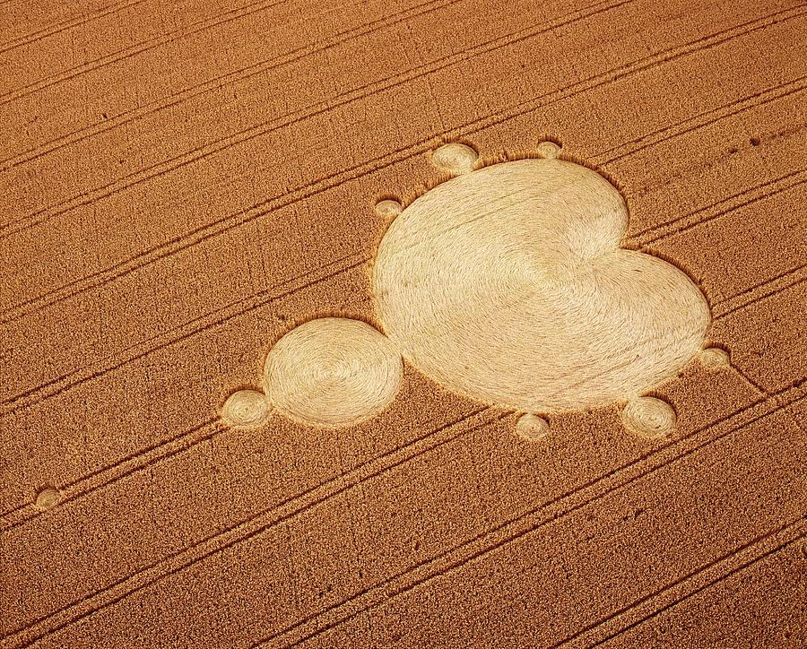 Crop Formation In Form Of Mandelbrot Set #2 Photograph by David Parker/science Photo Library