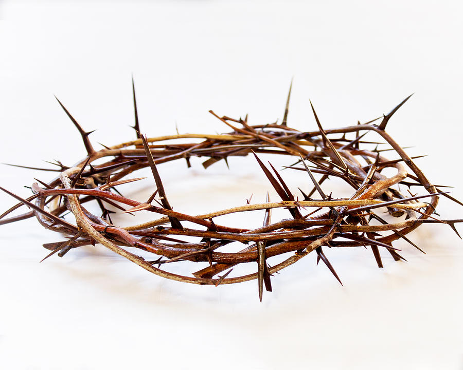 Reflections from Broadneck Baptist: Stations of the Cross ...