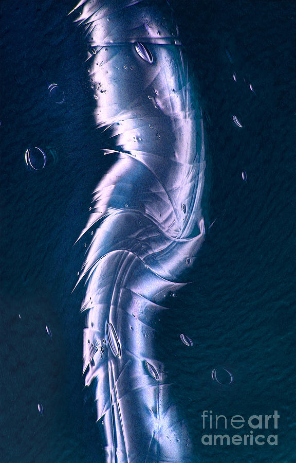 Crystalline Entity Photograph by Peter Piatt - Pixels