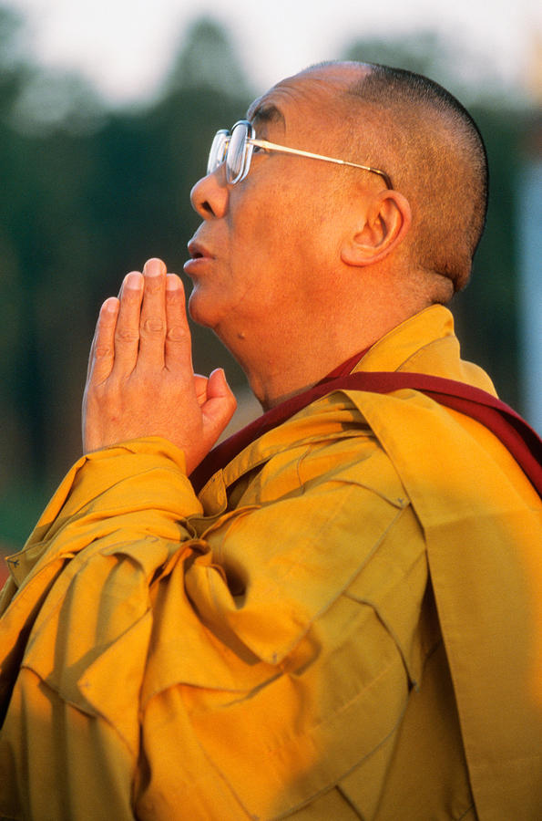 Celebrity Photograph - Dalai Lama #2 by Alison Wright