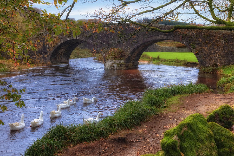 Fall Photograph - Dartmoor - Two Bridges #2 by Joana Kruse