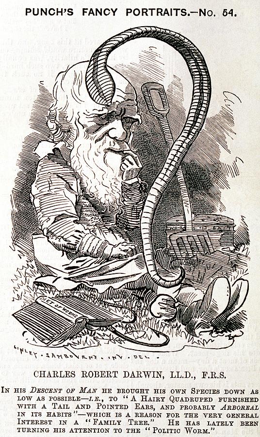 Darwin Caricature Photograph by George Bernard/science Photo Library