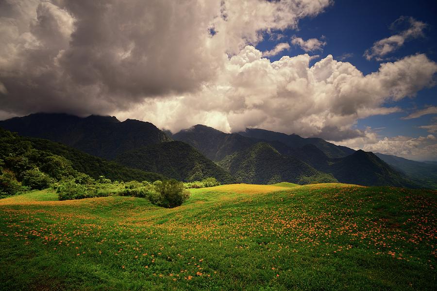 Daylilies Field On Mountain Range With #2 Photograph by Joyoyo Chen