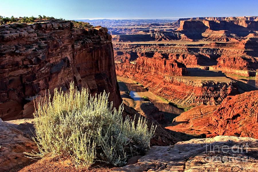 Dead Horse Point #2 Photograph by Roxie Crouch