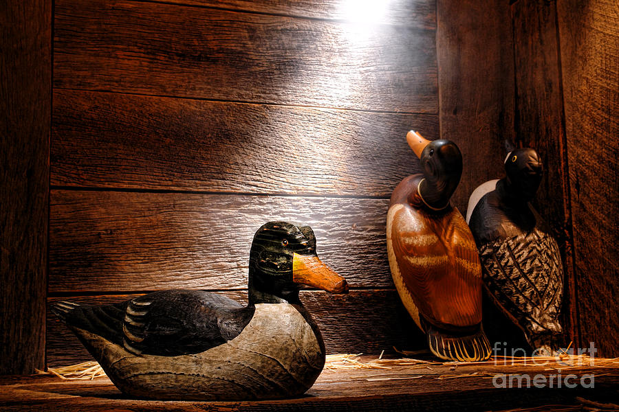 Decoys in Old Hunting Cabin #2 Photograph by Olivier Le Queinec