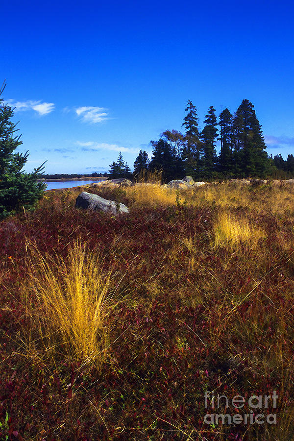 Deer Isle Maine #2 Photograph by Thomas R Fletcher