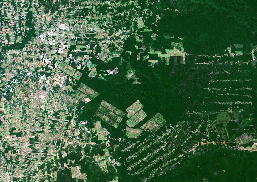 Deforestation In The Amazon #2 Photograph by Planetobserver/science Photo Library
