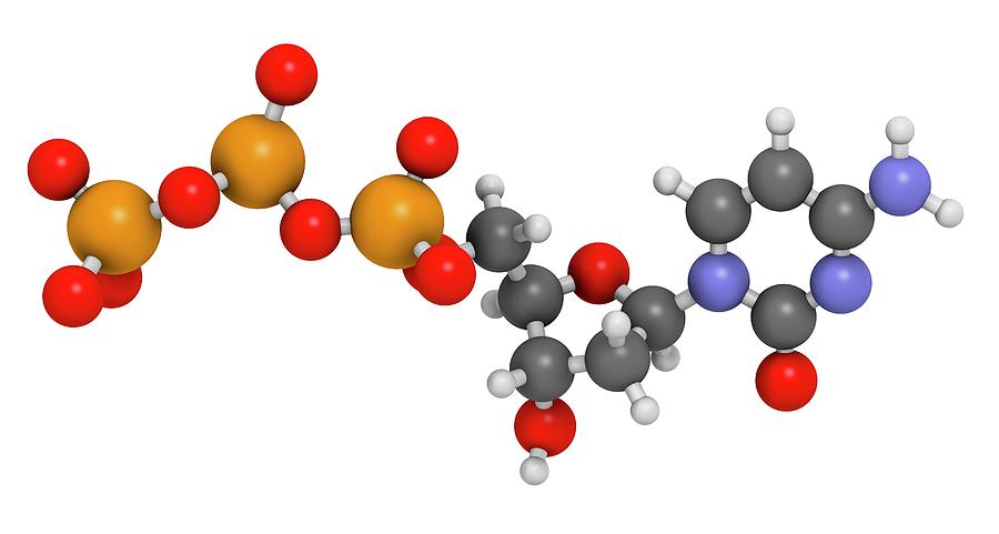 Cytidine Photograph - Deoxycytidine Triphosphate Molecule #2 by Molekuul