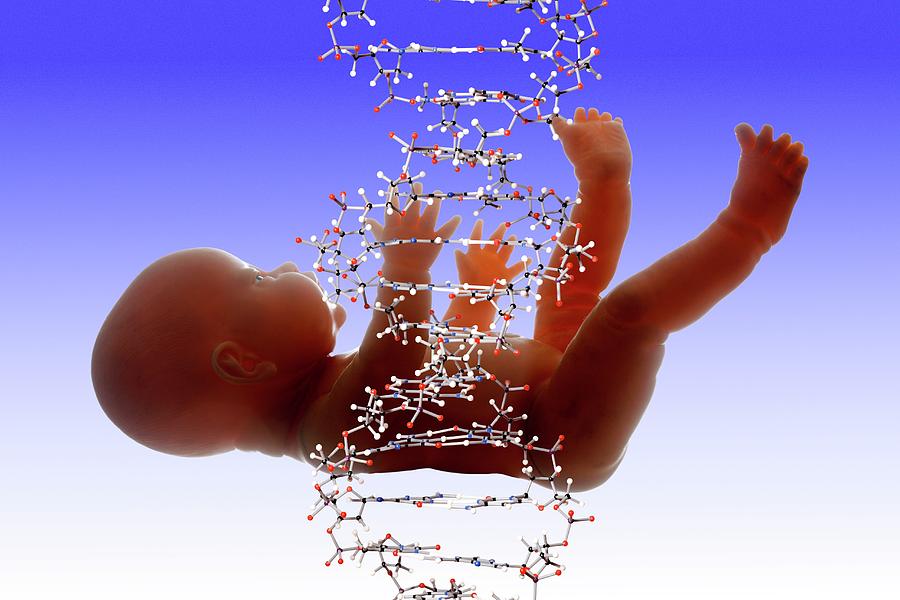 One Photograph - Designer Baby by Victor De Schwanberg/science Photo Library One Photograph - Designer Baby by Victor De Schwanberg/science Photo Library