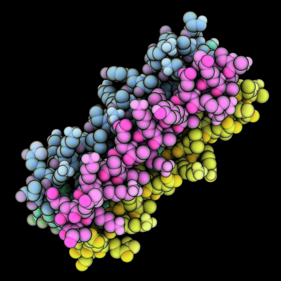 Designer Protein Rh4 Molecule #2 Photograph by Science Photo Library Designer Protein Rh4 Molecule #2 Photograph by Science Photo Library
