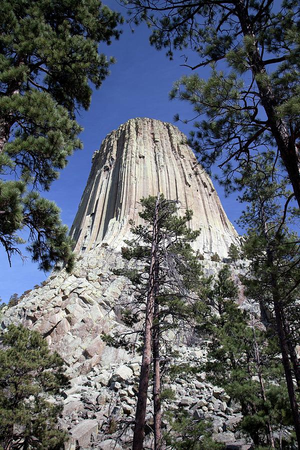Devils Tower #2 Photograph by Jim West