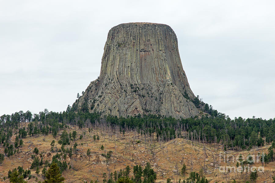 Devils Tower National Monument #2 Photograph by Fred Stearns