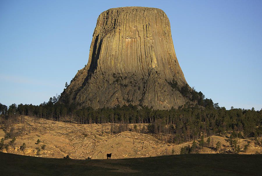 Devils Tower National Monument Wyoming #2 Photograph by Kevin Schafer