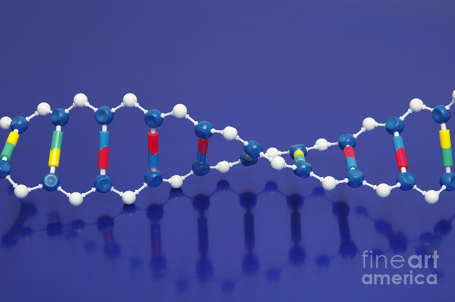 Dna Double Helix #2 Photograph by GIPhotoStock