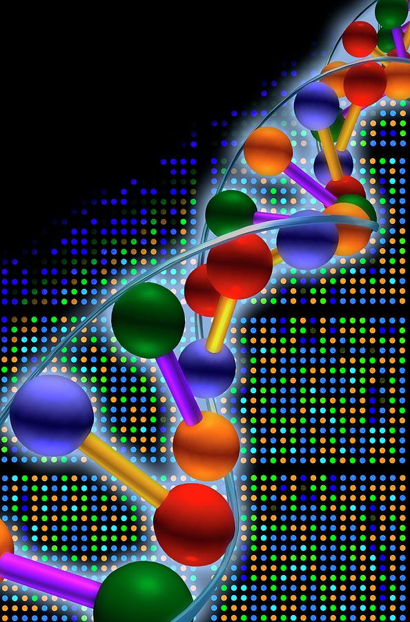 Dna Microarray And Double Helix Photograph by Pasieka