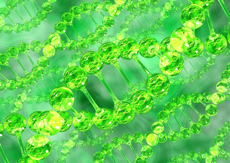 Backbone Photograph - Dna Molecules #2 by Animated Healthcare Ltd/science Photo Library
