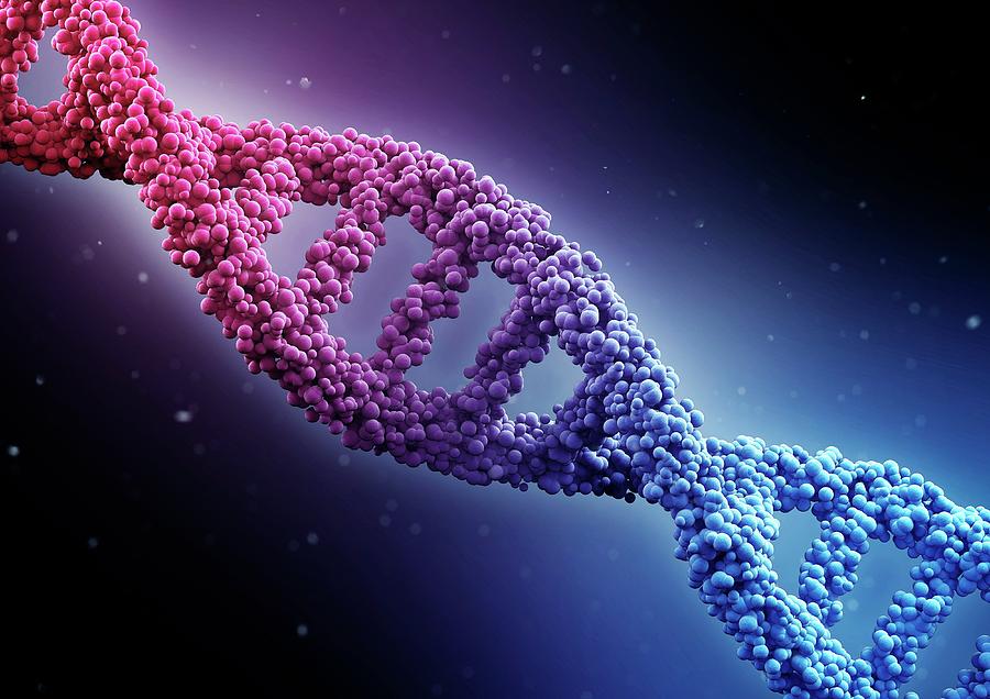 Dna Strand #2 by Maurizio De Angelis/science Photo Library