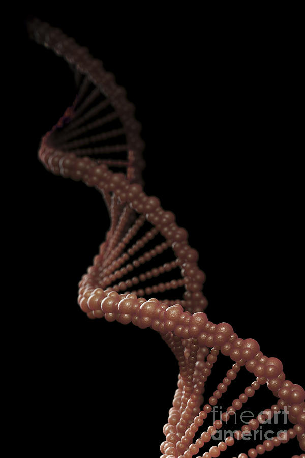 Dna Strand #2 Photograph by Science Picture Co
