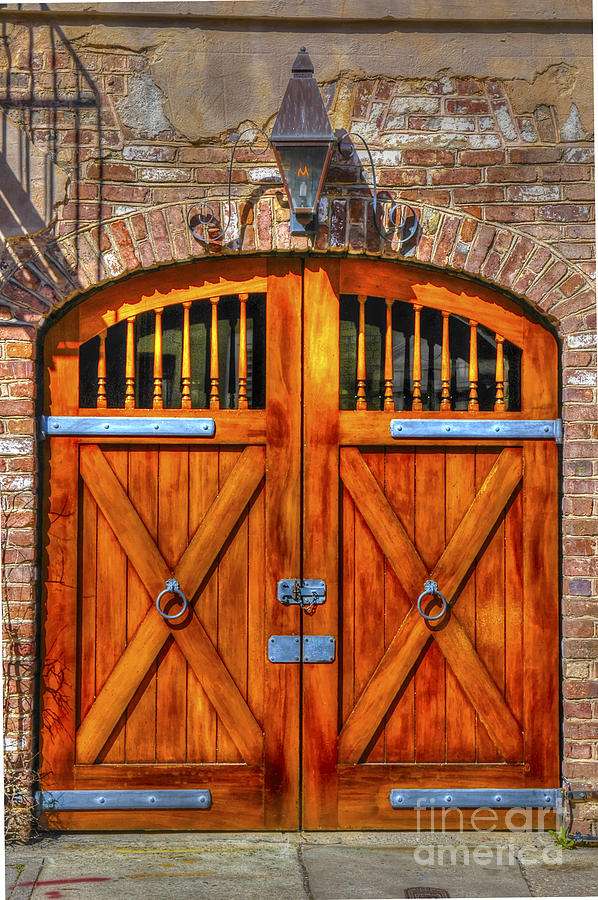 Doors of Charleston Photograph by Dale Powell